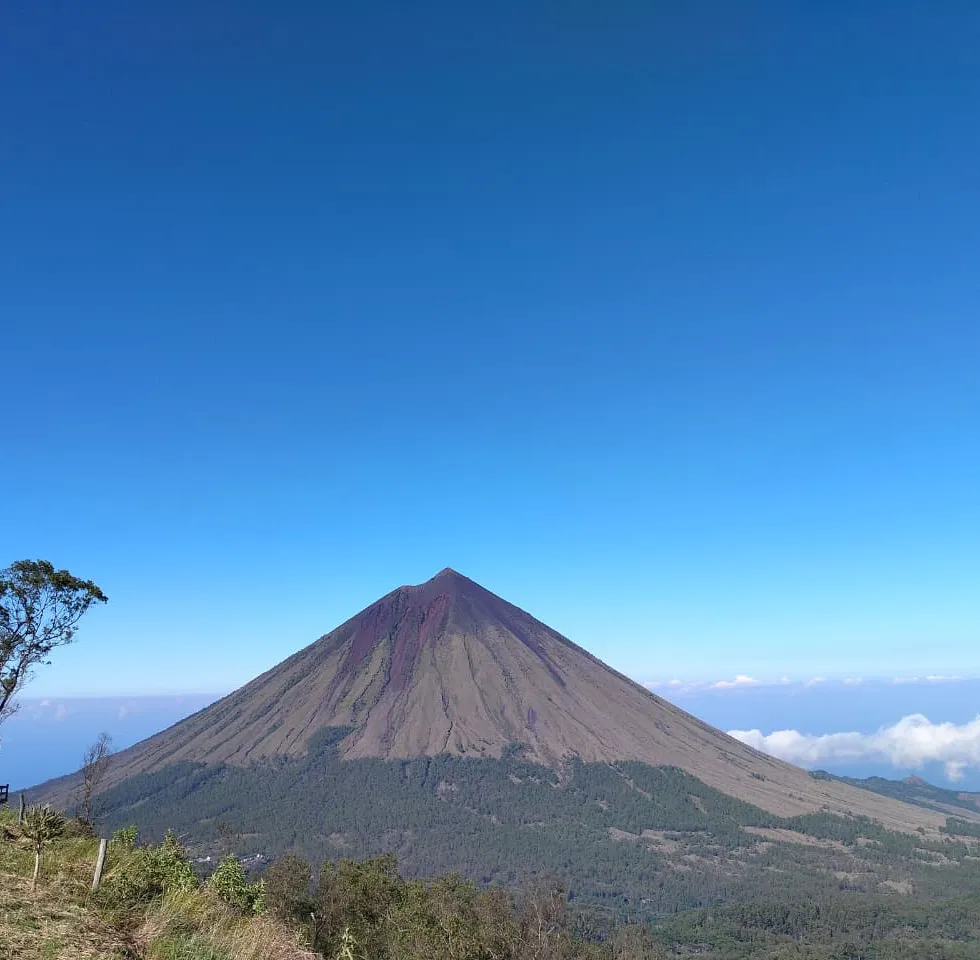 An active volcanic cone rising above Flores