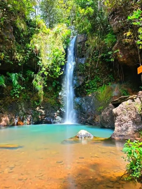Cunca Plias waterfall falling into a turquoise jungle pool