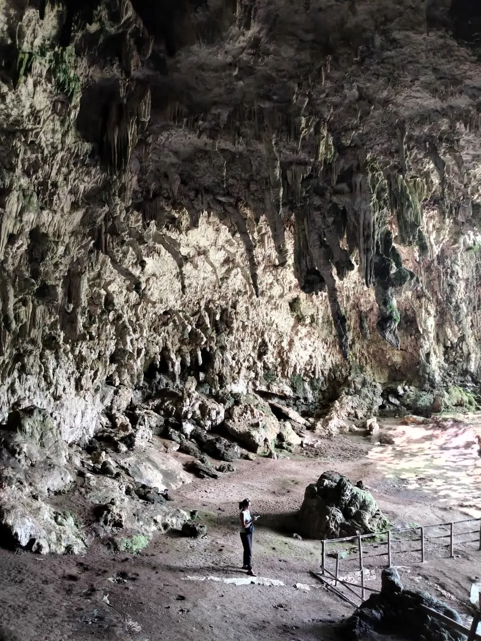 The wide mouth of Liang Bua cave, the 'Hobbit' archaeological site