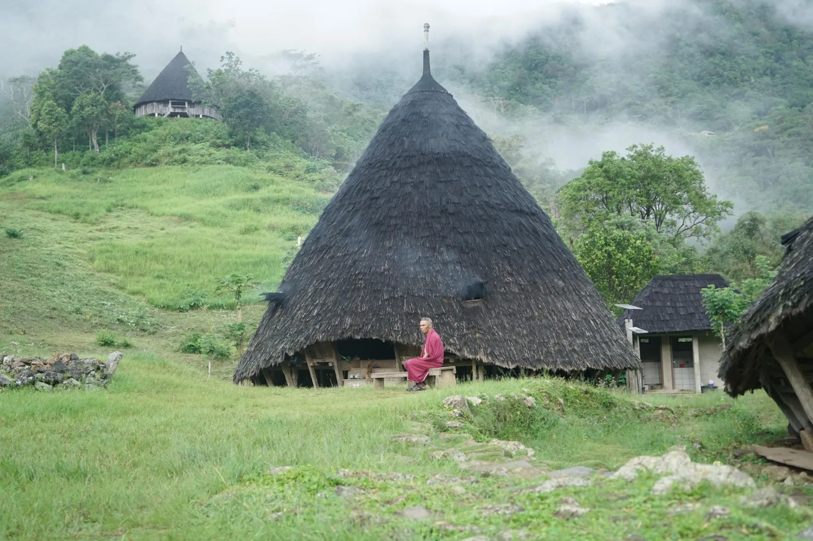 A single Mbaru Niang cone house of Wae Rebo on a misty green hillside