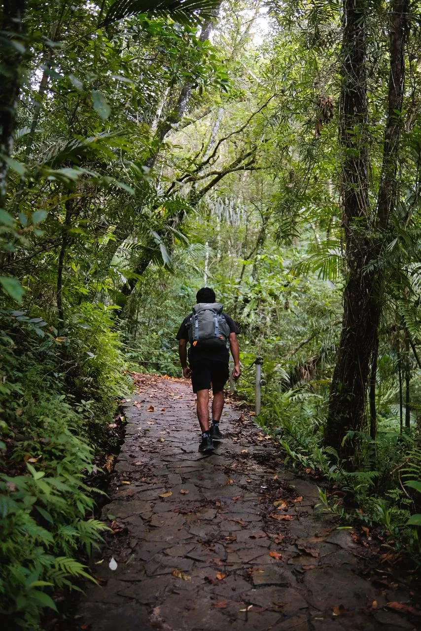 A hiker on the jungle trail leading up to Wae Rebo village