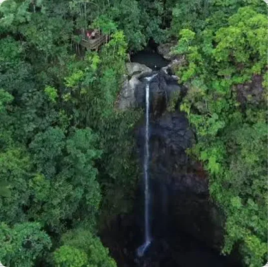 A forest waterfall cascading through the Flores jungle